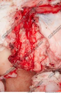 Photo Textures of RAW Pork Meat